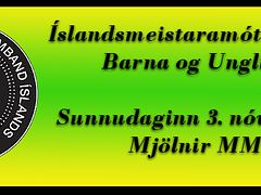 Íslandsmeistaramót Gi barna og unglinga 2024