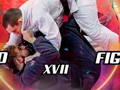 Andino Fighters XVII