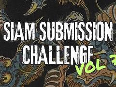 SIAM Submission Challenge Vol.7