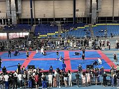 Flanders BJJ Cup 2024
