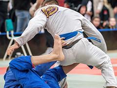Haninge BJJ Open 2025- Spring