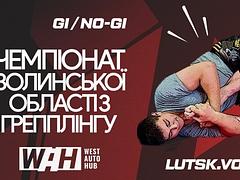 Чемпіонат Волинської області з Грепплінгу