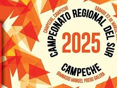 Campeonato Regional del Sur 2025