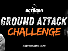 Octagon Ground Attack Challenge