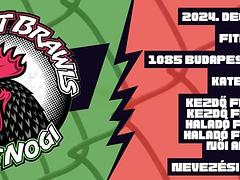 Budapest Brawls II. (NoGi Only Submission)