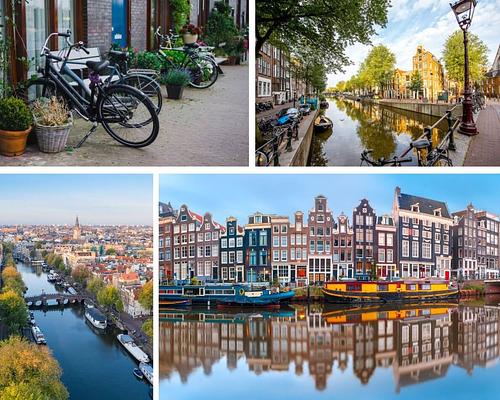 LegLock Camp Amsterdam - 3rd Edition 2026