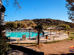 Jiutopia - Summer Camp 2026