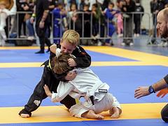 Lion Cub Jiu Jitsu Competition 4