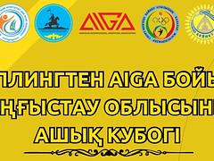 Грэпплинг "AIGA" МО ашық кубогы 2025, ересектер мен 2008-2017 ж.ж.
