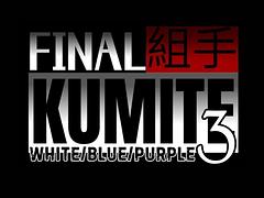 Final Kumite 3