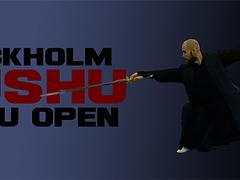 Stockholm Wushu Taolu open 2018