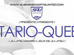 SUBMISSION ARTS UNITED: Quebec - Ontario border