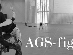 AGS-fighten 2017