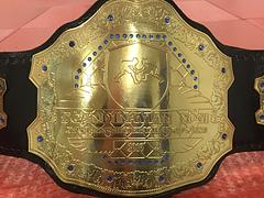 SCANDINAVIAN NOGI CHAMPIONSHIPS 2017