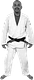 369 Jiu-Jitsu logo