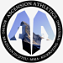 API - Ascension Athletics logo