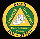 Apex Jiu Jitsu logo