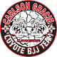 Coyote Brazilian Jiu-Jitsu Academy Brasil logo