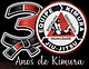 Flavio Teixeira Jiu-Jitsu logo