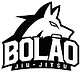 Bolão Jiu-Jitsu logo