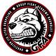 Group Fight Academy Bajo BJJ logo