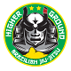 Higher Ground BJJ logo
