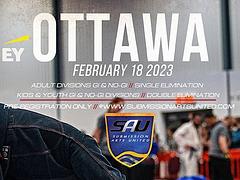 SUBMISSION ARTS UNITED: OTTAWA / EY CENTER