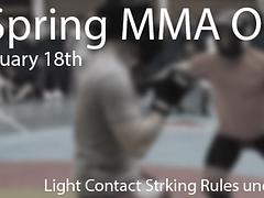 Cork Open MMA Spring 2018