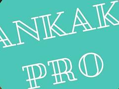 Sankaku Pro 3