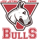 Bulls BJJ Colorado logo