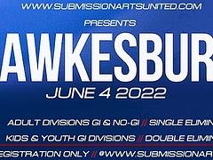 SUBMISSION ARTS UNITED: HAWKESBURY