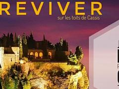 SOBREVIVER NO-GI OPEN CASSIS