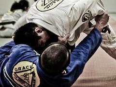 Gracie Humaita Internal White Belt Competition
