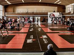 ILLCS Germany 2019 (Sub Only Championships)