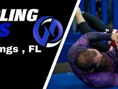 THE 2017 FLORIDA FALL GAMES