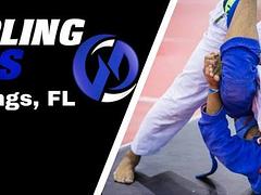 THE 2016 FLORIDA FALL GAMES