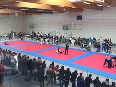 Flanders BJJ Cup 2017