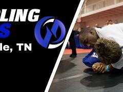 THE 2017 NASHVILLE SUMMER GAMES