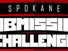 Spokane Submission Challenge 2020