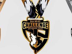 ViN Challenge