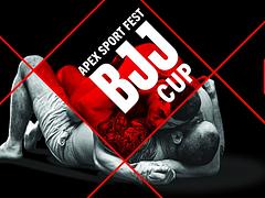 APEX SPORT FEST 2022 BJJ Cup