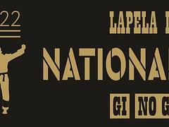 Lapela IX