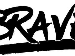 BRAVE MARTIAL ARTS TOURNAMENT