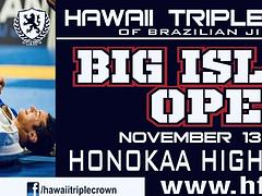 Big Island Open