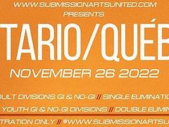 SUBMISSION ARTS UNITED: OTTAWA / EY CENTER