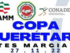 Copa Querétaro