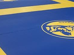Guardian Grappling Orlando