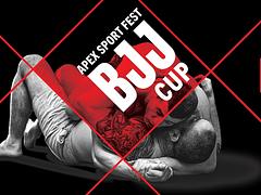 APEX SPORT FEST 2023 BJJ CUP