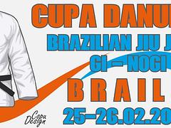 Cupa Danubius GI