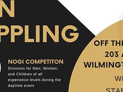 All In Grappling 2